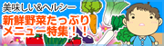 新鮮野菜メニュー!!