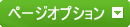 ページオプション
