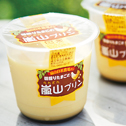 嵐山プリン