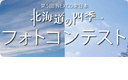 フォトコンテスト