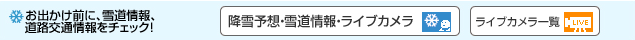 お出かけ前に、雪道情報、道路交通情報をチェック！