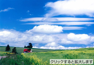 「きがらしの丘」小川瑞子様(千葉県)「私が写す北海道」部門
