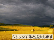 「金の牧草ロール」市川佳臣様(千葉県)「私が写す北海道」部門