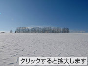 「冬の丘」尾形孝様(北海道)「私が写す北海道」部門