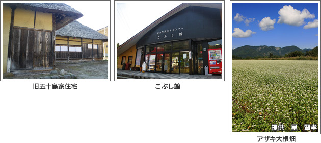 旧五十島家住宅、こぶし館、アザキ大根畑