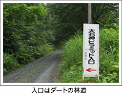 入口はダートの林道