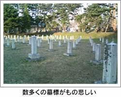 数多くの墓標がもの悲しい