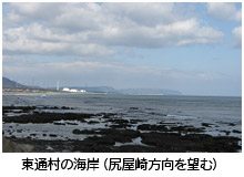 東通村の海岸（尻屋崎方向を望む）