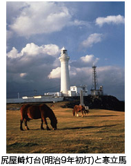 尻屋崎灯台（明治9年初灯）と寒立馬