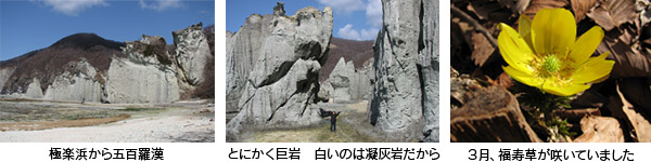 極楽浜から五百羅漢、とにかく巨岩、白いのは凝灰岩だから、3月福寿草が咲いていました