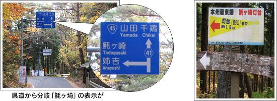 県道から分岐「魹ヶ埼」の表示が