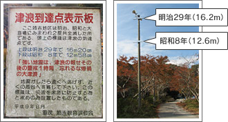過去の津波の高さを表す表示板