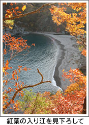 紅葉の入り江を見下ろして