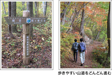 距離標、歩きやすい山道をどんどん進む