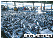 気仙沼港