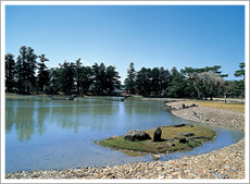 毛越寺