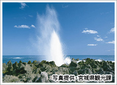 岩井崎