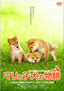 マリと子犬の物語　DVDイメージ