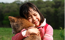 マリと子犬の物語イメージ１