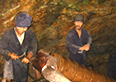 史跡 佐渡金山イメージ