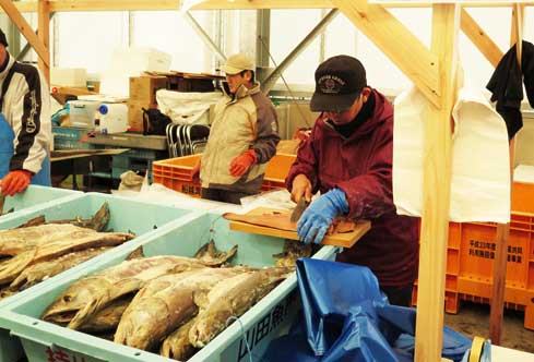 新鮮な魚介が格安で販売される