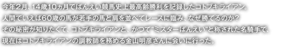 今年2月、14歳10ヵ月でばんえい競馬史上最高齢勝利を記録したコトブキライアン。人間でいえば60歳の馬が若手の馬と肩を並べてレースに臨み、なぜ勝てるのか?その秘密が知りたくて、コトブキライアンと、かつて“ミスターばんえい”と称された名騎手で、現在はコトブキライアンの調教師を務める金山明彦さんに会いに行った。