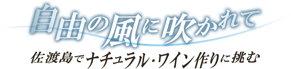 自由の風に吹かれて 佐渡島でナチュラル・ワイン作りに挑む