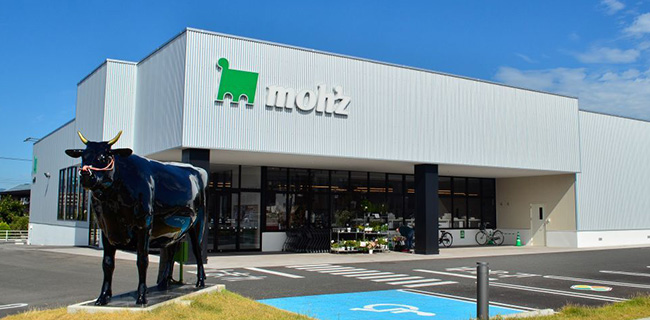 moh'z m'z kitchen