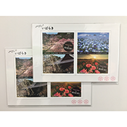 3.絶景マグネットフォトフレームのイメージ画像