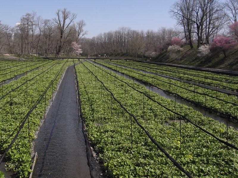 のイメージ画像