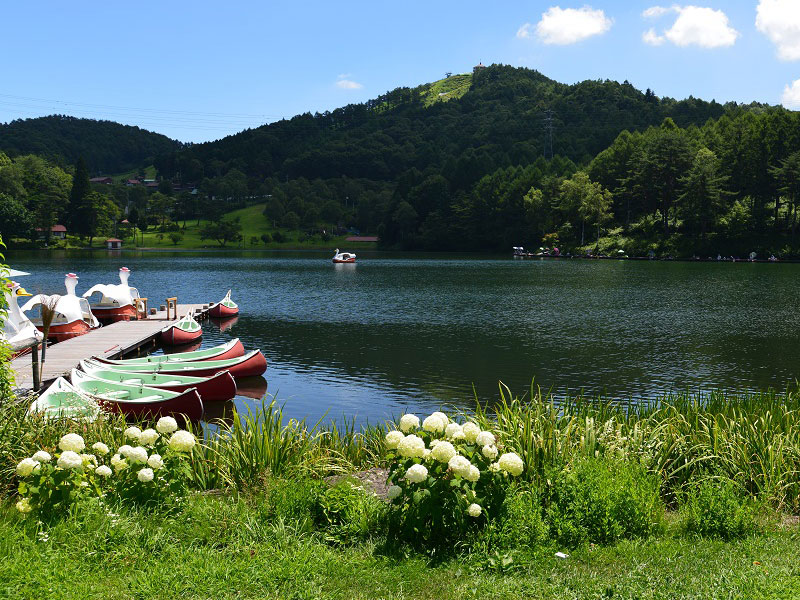 のイメージ画像