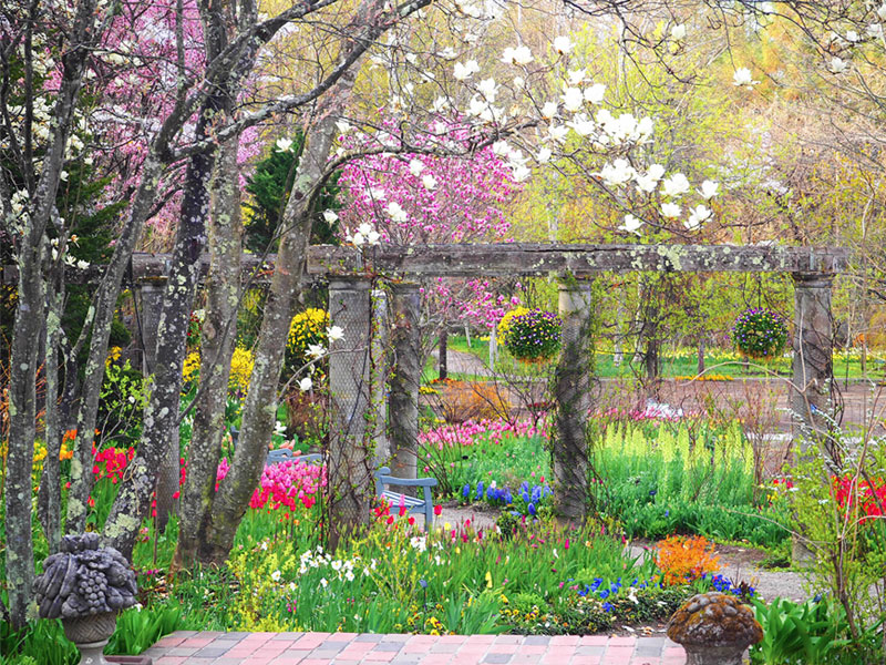 のイメージ画像