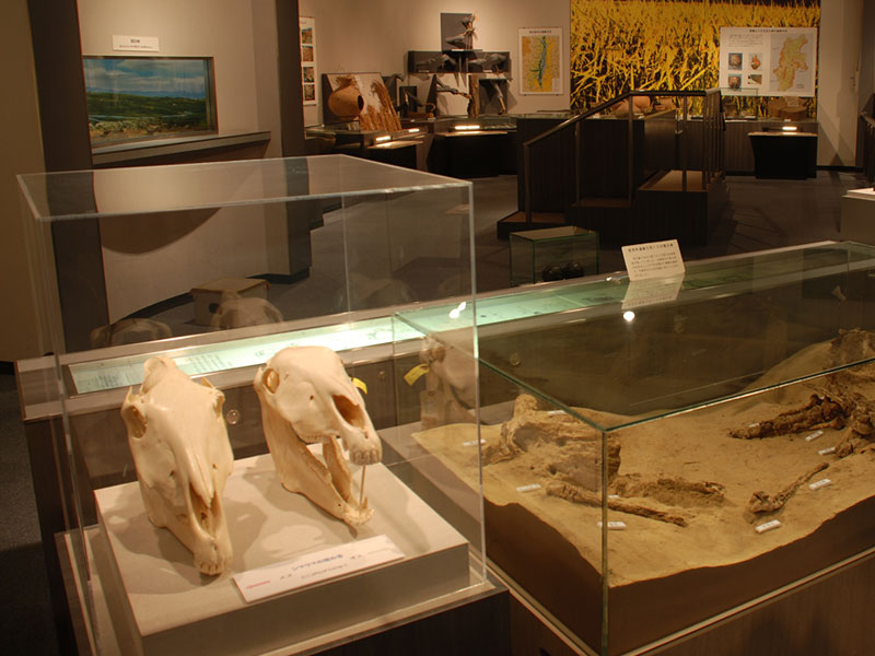 のイメージ画像