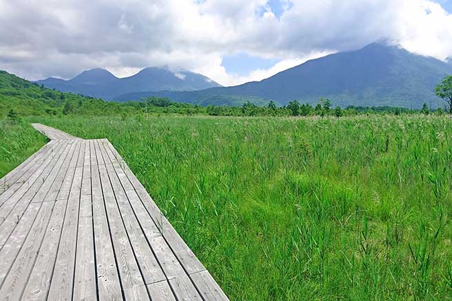 戦場ヶ原と日光連山