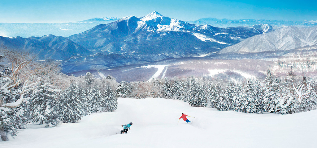 「ドラ割」ウィンターパス2020 猪苗代･磐梯プラン（首都圏発着・岩槻－羽生発着）のイメージ画像２