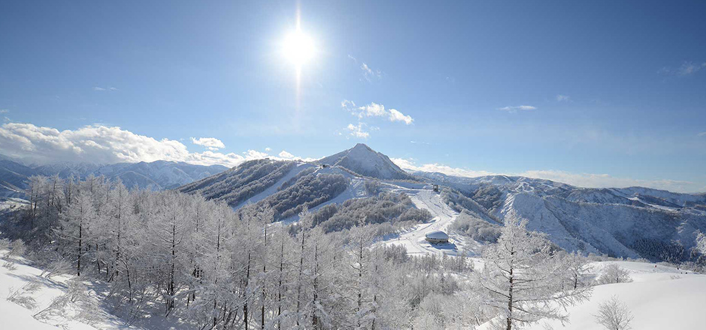「ドラ割」ウィンターパス2020 湯沢･沼田･水上プラン（首都圏発着・川越－花園発着）のイメージ画像１