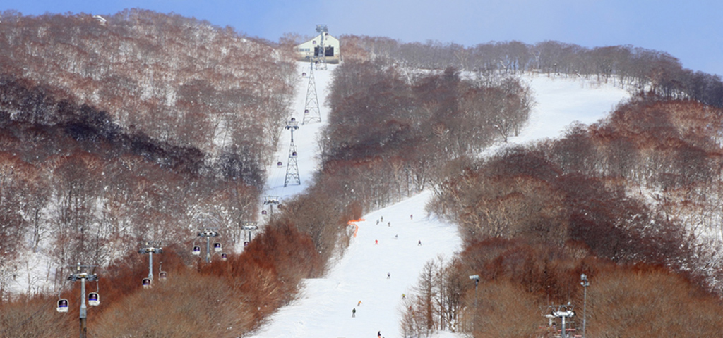 「ドラ割」ウィンターパス2020 安比・八幡平プラン（仙台発着）のイメージ画像７