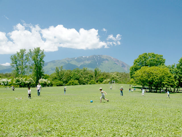 小岩井農場スイーツ詰め合わせ 小岩井農場まきば園 アンケートプレゼント 東北観光ふりーぱす