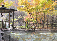 ペア入浴券（日帰り）５組様 会津東山温泉　原瀧 アンケートプレゼント 東北観光ふりーぱす