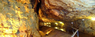 無料入場券【ぺア】（観光坑道見学コース）史跡尾去沢鉱山 アンケートプレゼント 東北観光ふりーぱす