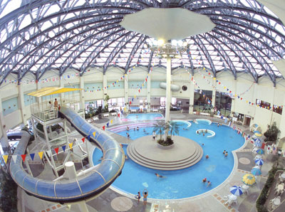 ザ・ブーンペア無料入館券 クアドーム　ザ・ブーン アンケートプレゼント 東北観光ふりーぱす