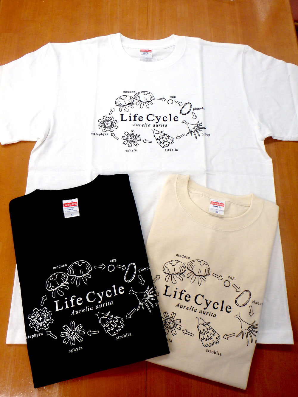 オリジナルＴシャツ 鶴岡市立加茂水族館 アンケートプレゼント 東北観光ふりーぱす