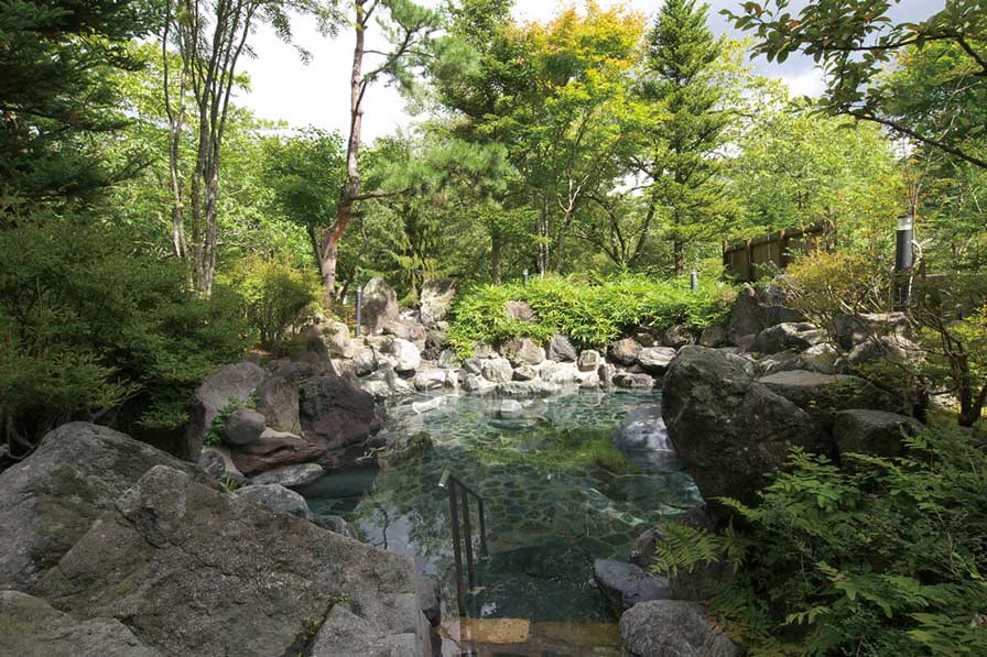 日帰入浴券（ペア）Ａｃｔｉｖｅ Ｒｅｓｏｒｔｓ裏磐梯 アンケートプレゼント ウィンターパス