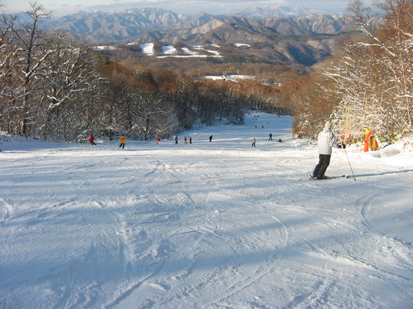 2023シーズンリフト エーデルワイススキーリゾート アンケートプレゼント ウィンターパス