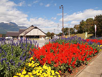 道の駅しなのち
