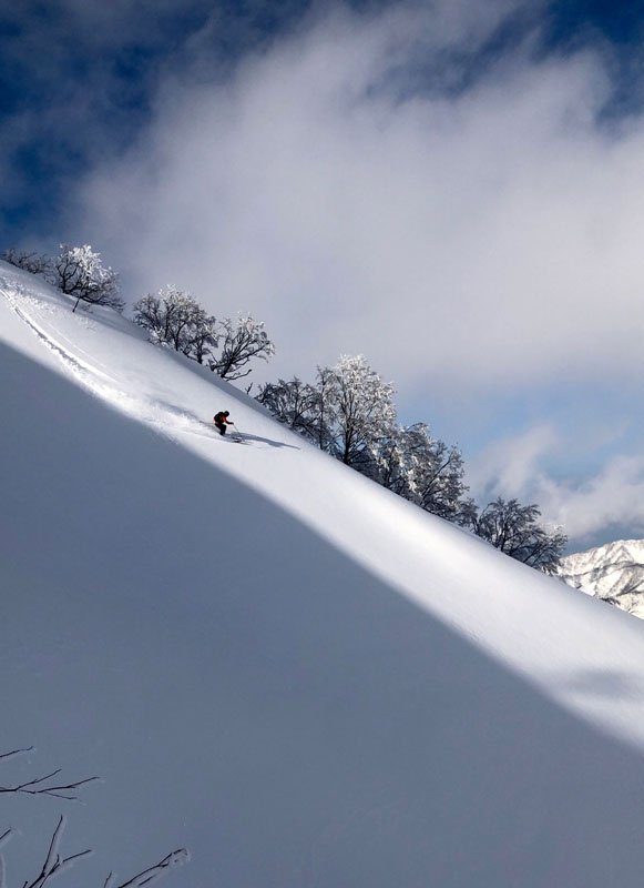 ロッテアライリゾート