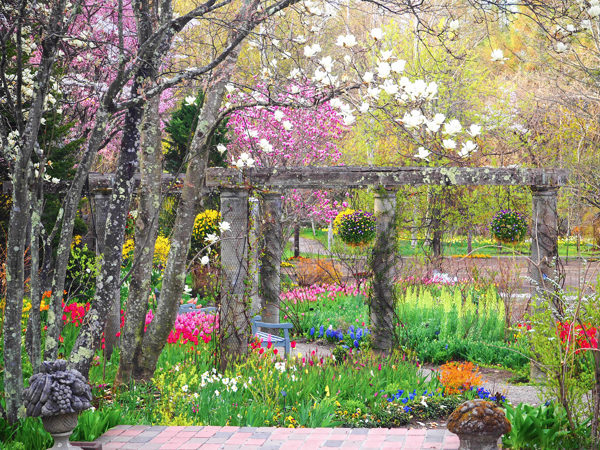 蓼科高原　バラクラ イングリッシュ ガーデン