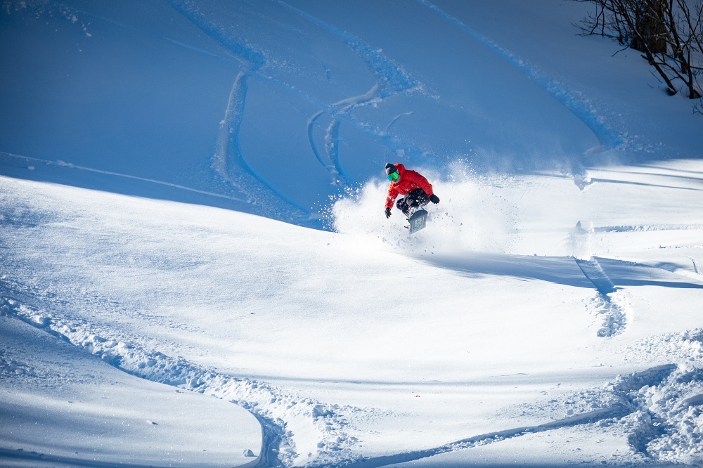 星野リゾート　猫魔スキー場　2023-2024シーズンにアルツ磐梯・猫魔スキー場で使える「共通リフト1日券」引換券