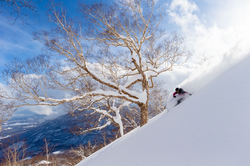 妙高杉ノ原スキー場 リフト券割引