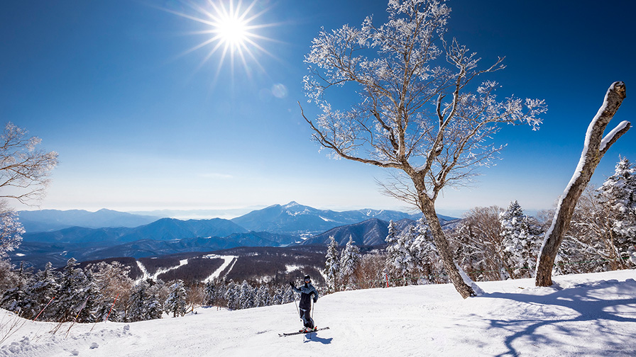 グランデコスノーリゾート